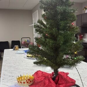 Festive Green Holiday Tree with lights!